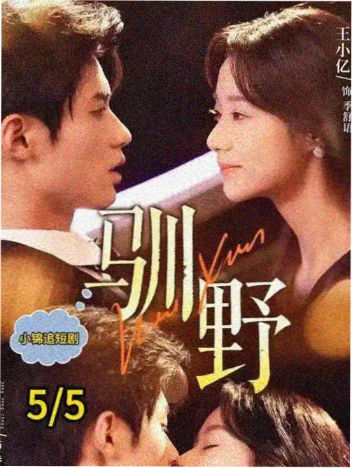 美国丧尸剧小镇滋味黑色喜剧海报